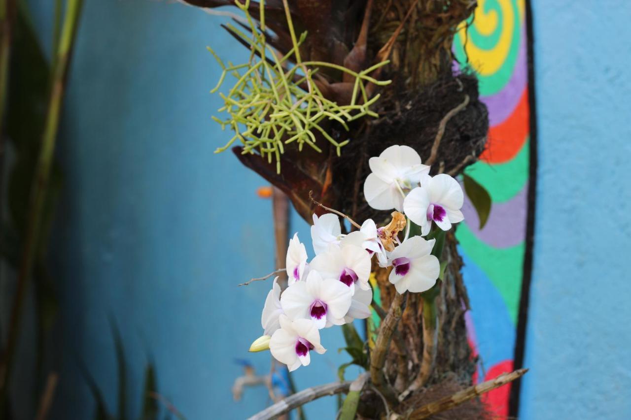 Local Friend Hostel Armacao dos Buzios Ngoại thất bức ảnh
